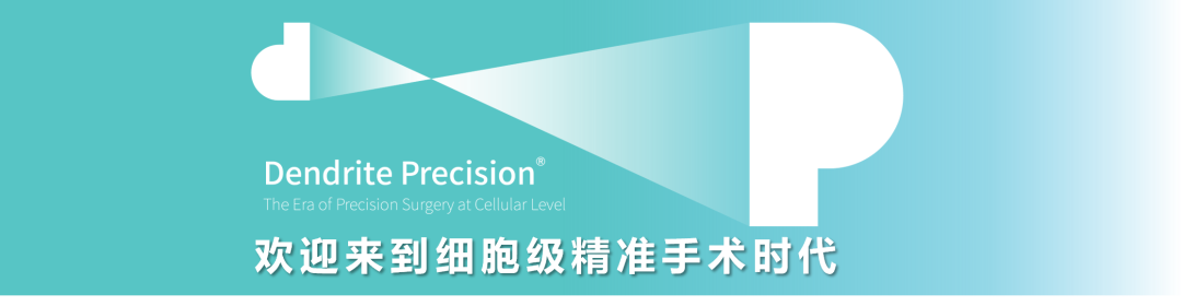 “細胞眼”助力精準(zhǔn)手術(shù)：術(shù)中手持顯微鏡EndoSCell?成2024年人腦論壇亮點(圖1)